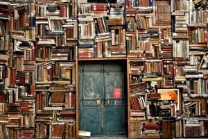 Understanding Book Reviews: How to Seek and Perform One Properly